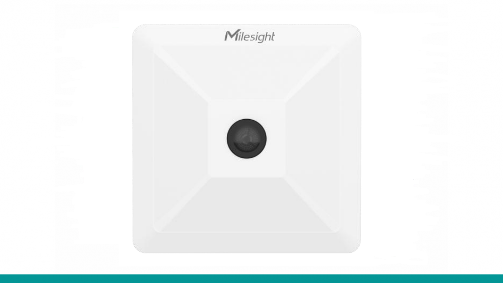 WYSIWYG - VS121.png