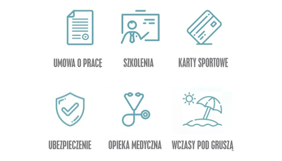 WYSIWYG - Grafika ogłoszenia o pracę z samochodem 550.jpg
